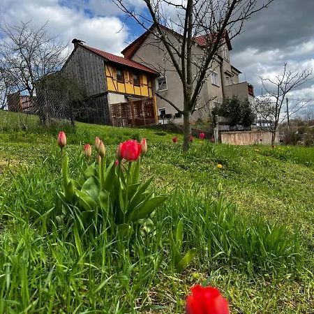 Kipsenblick Lejlighed *